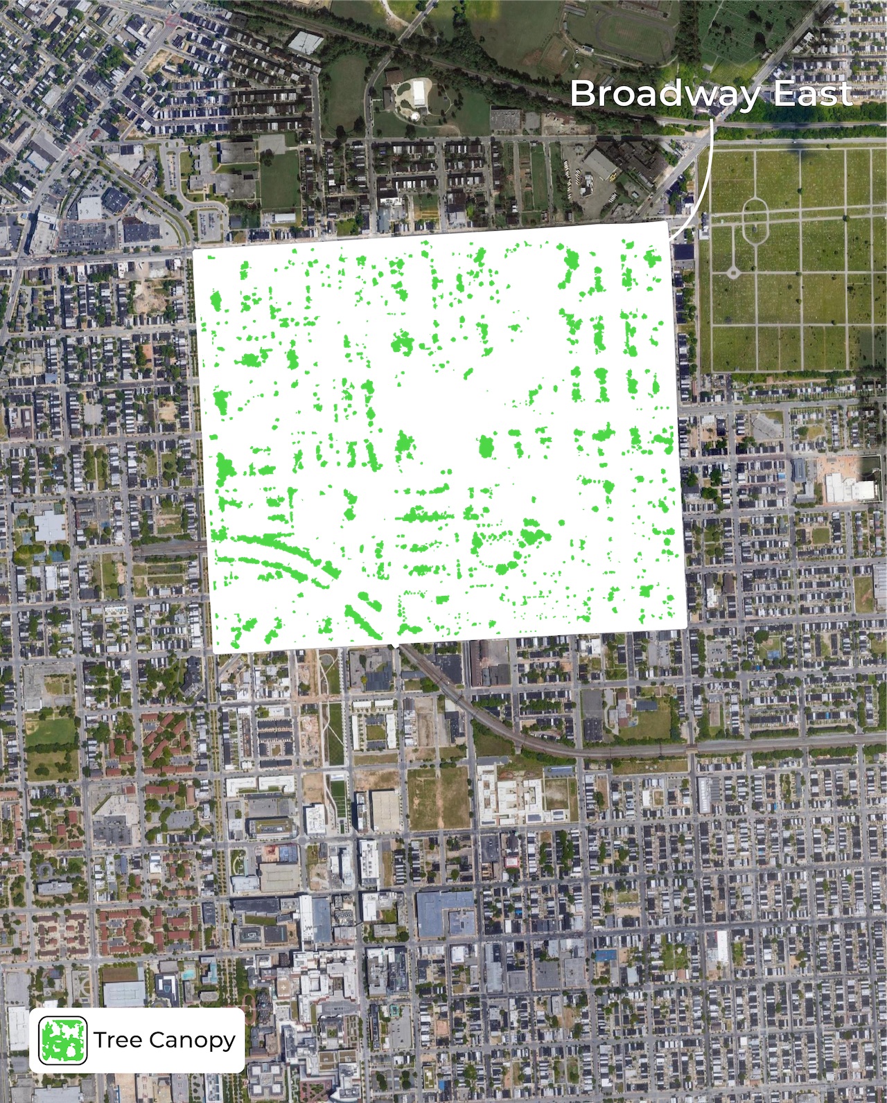 The satellite image is replaced by the few green blotches that represent the trees in this neighborhood.