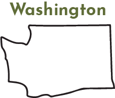 Washington