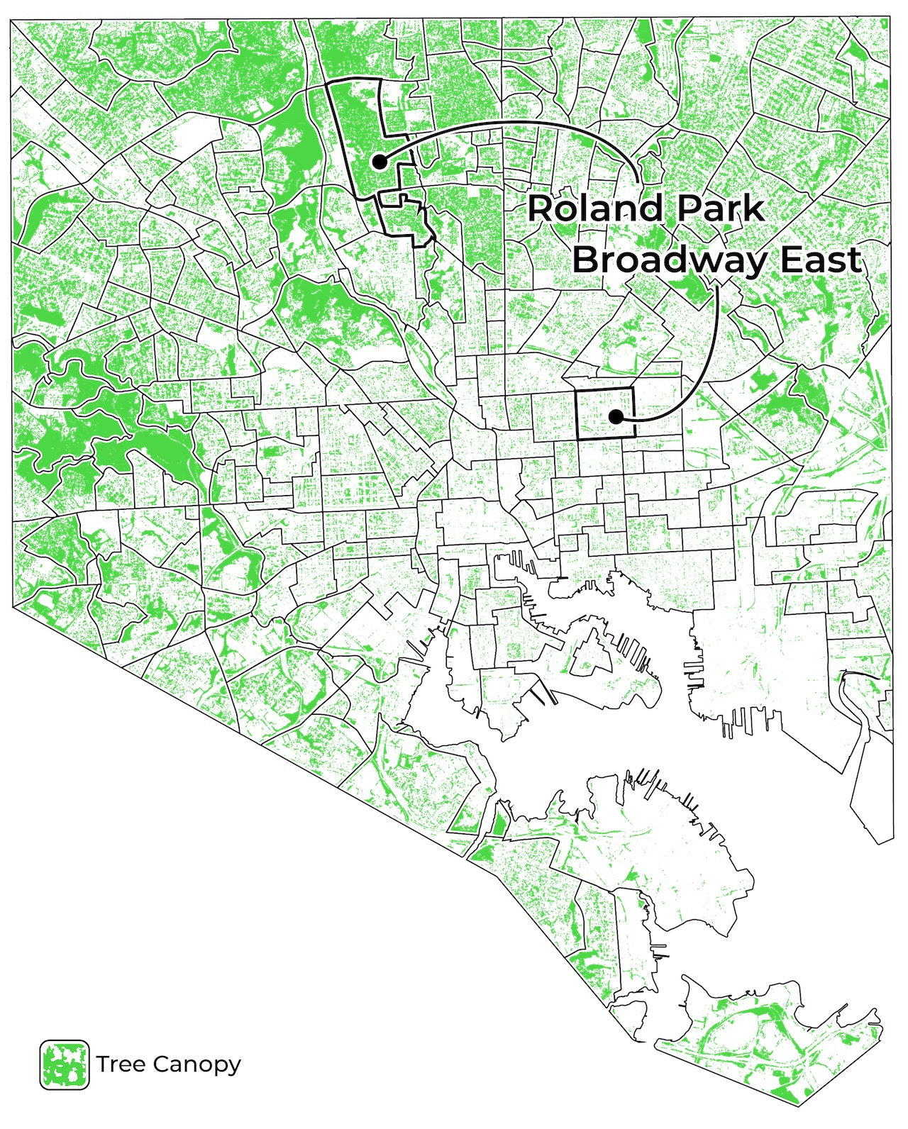 The satellite image disappears, replaced by green blotches across the city representing tree canopy.