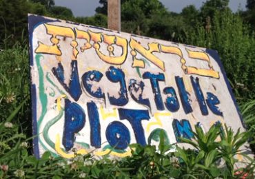 A sign for vegetable plots at Pearlstone Farms
