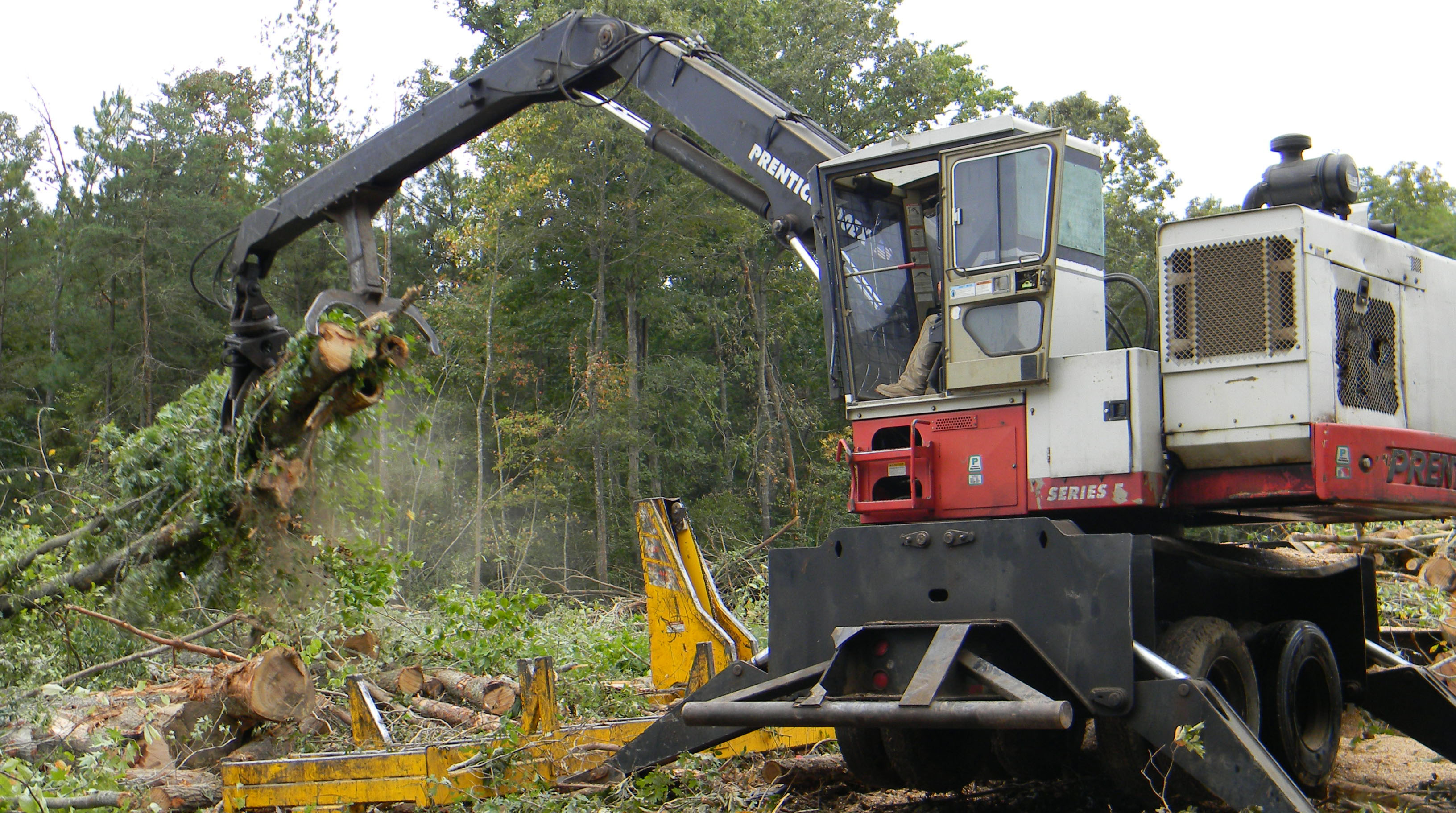 Heavy equipment lifts logs