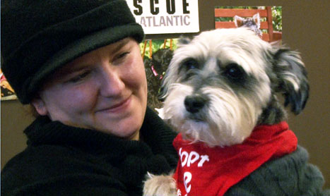 Rescue dogs in need of a loving home meet their potential owners at the fifth annual Cupids and Canines Adopt-a-thon event.