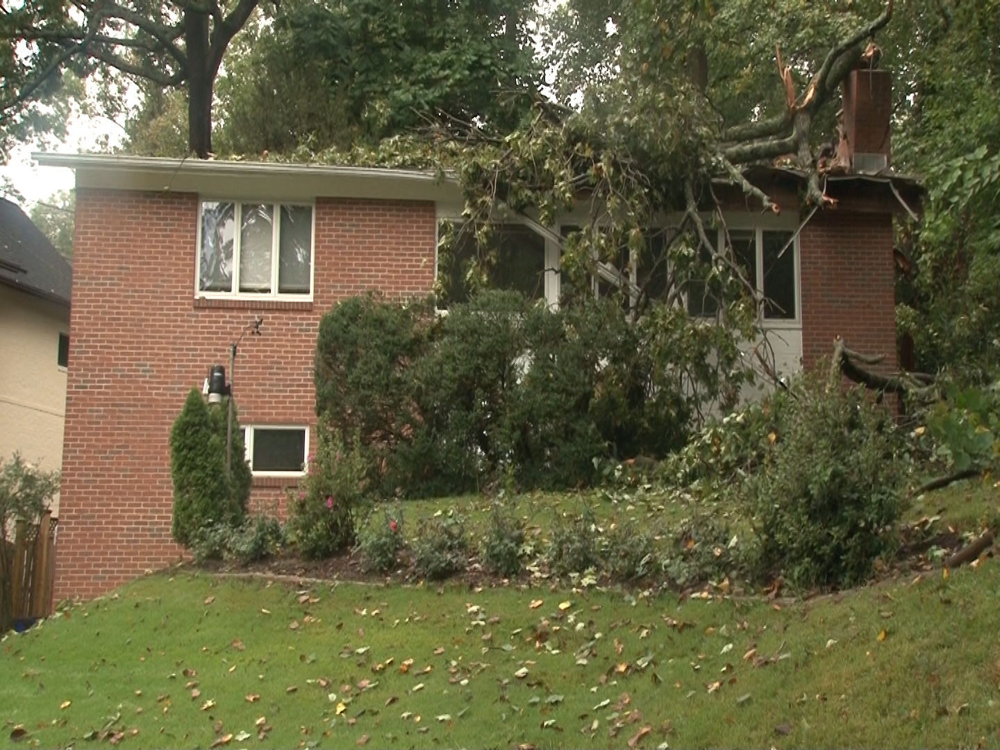 Fallen tree on Bethesda Home