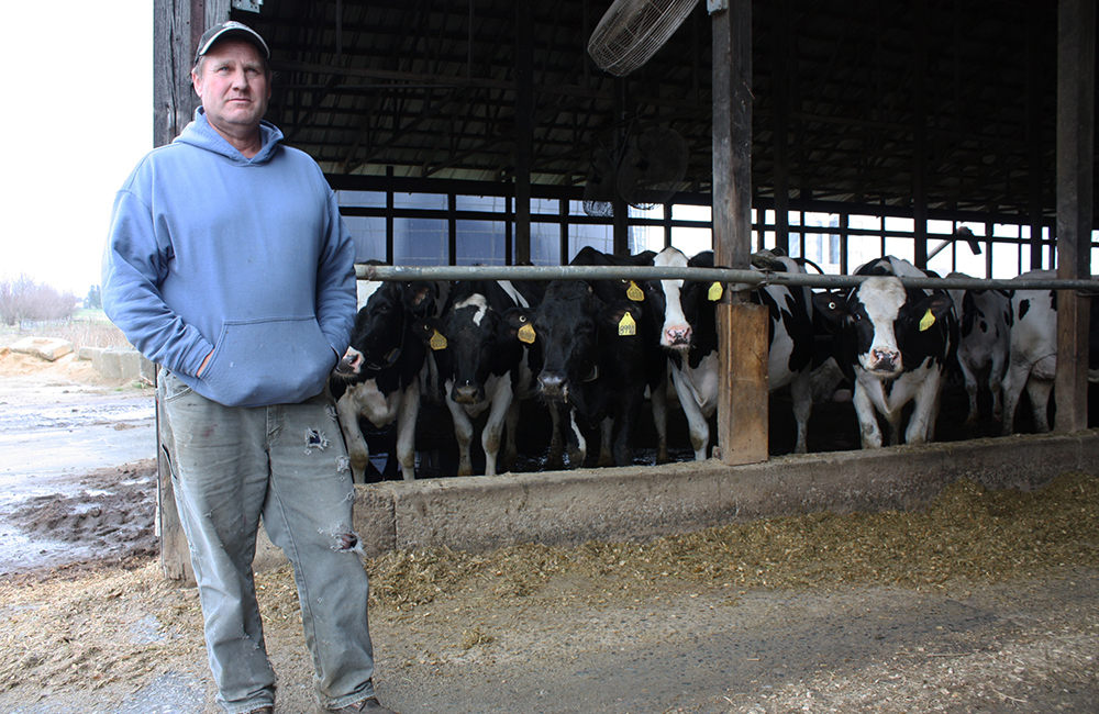 Jimmy Stup on his farm in Walkersville, Md. "The cost of everything goes up," said Stup. "But the price we get from milk doesn’t go up as much. That’s where the squeeze comes in.” (Photo by J.F. Meils/Capital News Service)