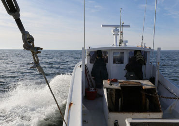 Maryland Department of Natural Resource staff check on the health of the blue crab population as part of the 2017 annual winter dredge survey. (Photo by Stephen Badger/Courtesy of Maryland Dept. of Natural Resources)