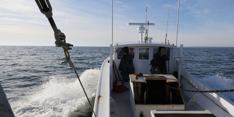 Maryland Department of Natural Resource staff check on the health of the blue crab population as part of the 2017 annual winter dredge survey. (Photo by Stephen Badger/Courtesy of Maryland Dept. of Natural Resources)