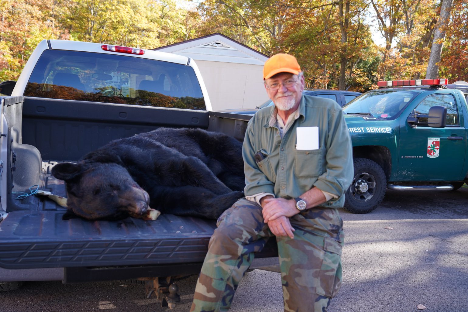 Black bear hunt numbers up with growing population CNS Maryland