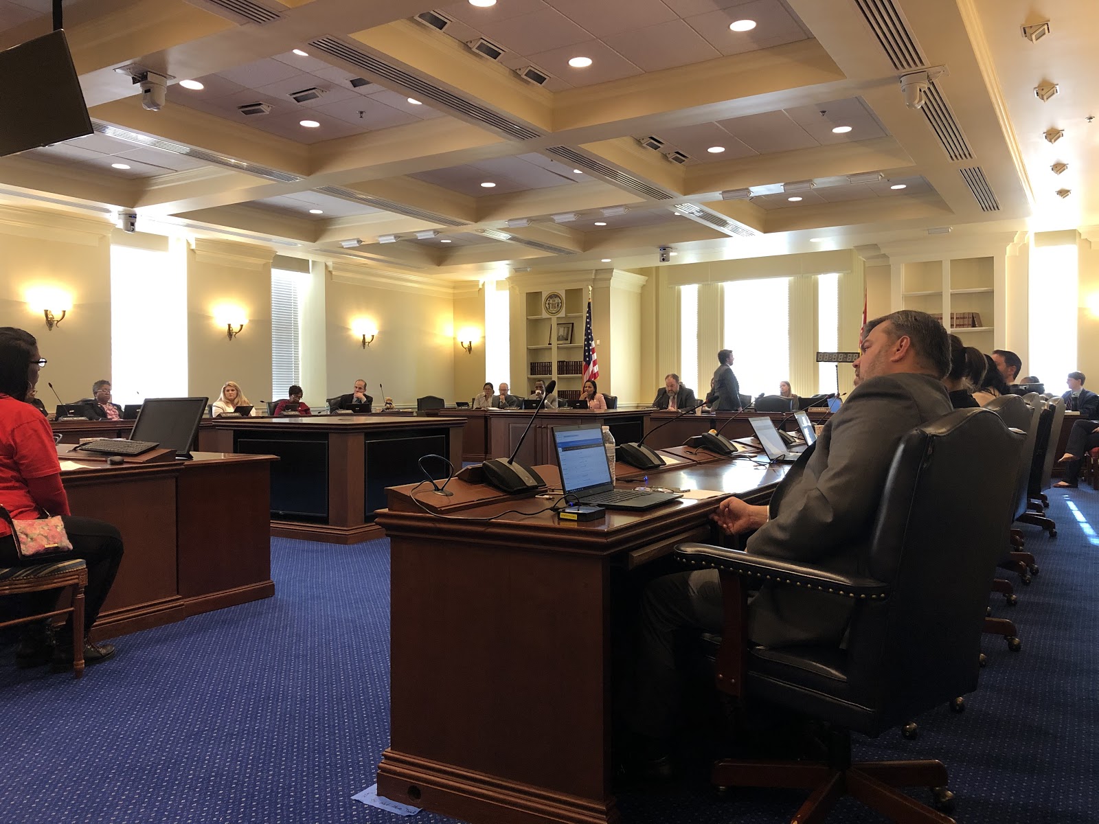 Members of the House Judiciary Committee hear testimony on legislation that would regulate the sale and transfer of shotguns and rifles in Maryland. (Capital News Service Photo by Fatemeh Paryavi)