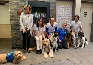 Members of the Caring Canines Pet Therapy Program pose in the lobby of Dogwood Acres Pet Retreat at one of their two locations in Maryland. Caring Canines has provided dogs for juveniles in court since the pilot program began several years ago. File photo courtesy of Caring Canines Pet Therapy Program.