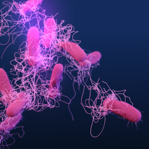 Computer-generated image of drug-resistant salmonella enterica typhi