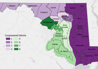 Congressional map submitted by Chelsea Sniegowski.