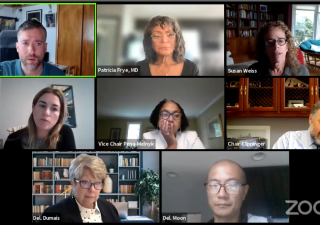 The House Cannabis Referendum and Legalization Workgroup met virtually on Oct. 13.