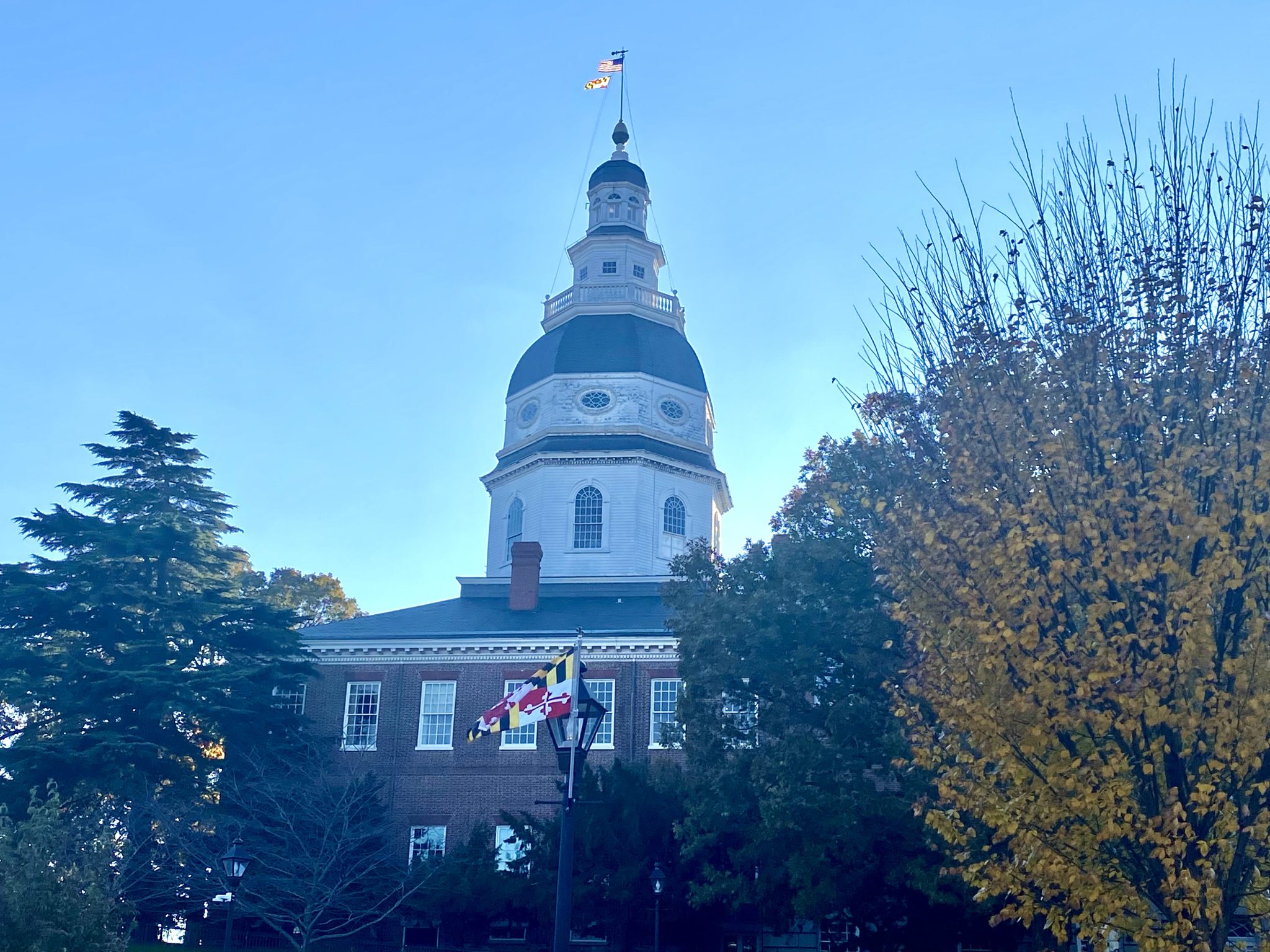 maryland-general-assembly-elects-davis-state-treasurer-cns-maryland