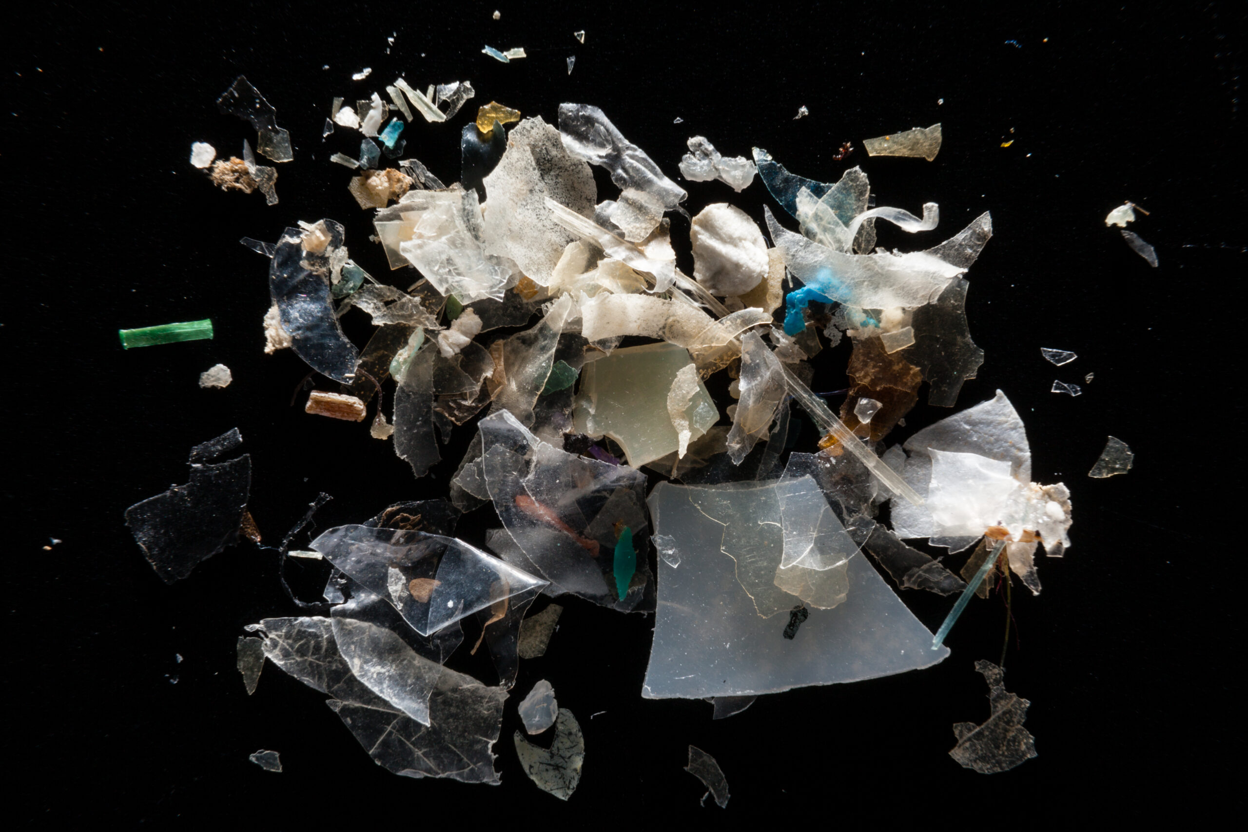 Microplastics found in the Chesapeake Bay | Source Chesapeake Bay Program