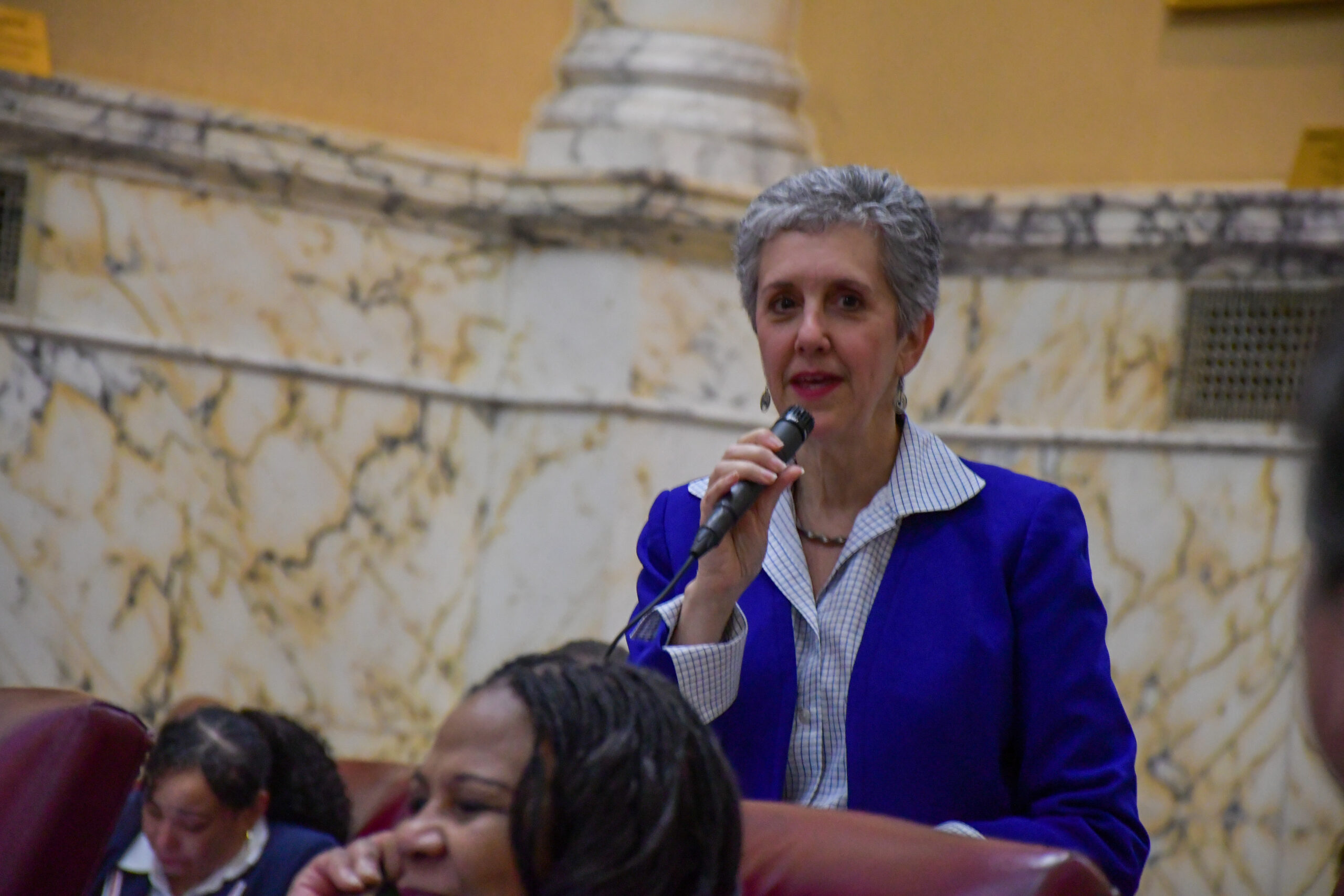 Sen. Cheryl Kagan, D-Montgomery, answers questions from Senate Minority Whip Justin Ready, R-Frederick and Carroll, about a paint stewardship bill. (Christine Zhu/Capital News Service)