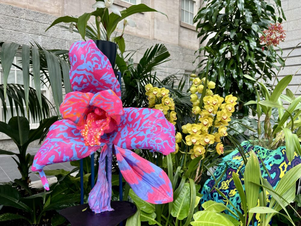 Artist Phaan Howng used scans of orchids live to create her own 3D-printed models. (Yesenia Montenegro/Capital News Service)