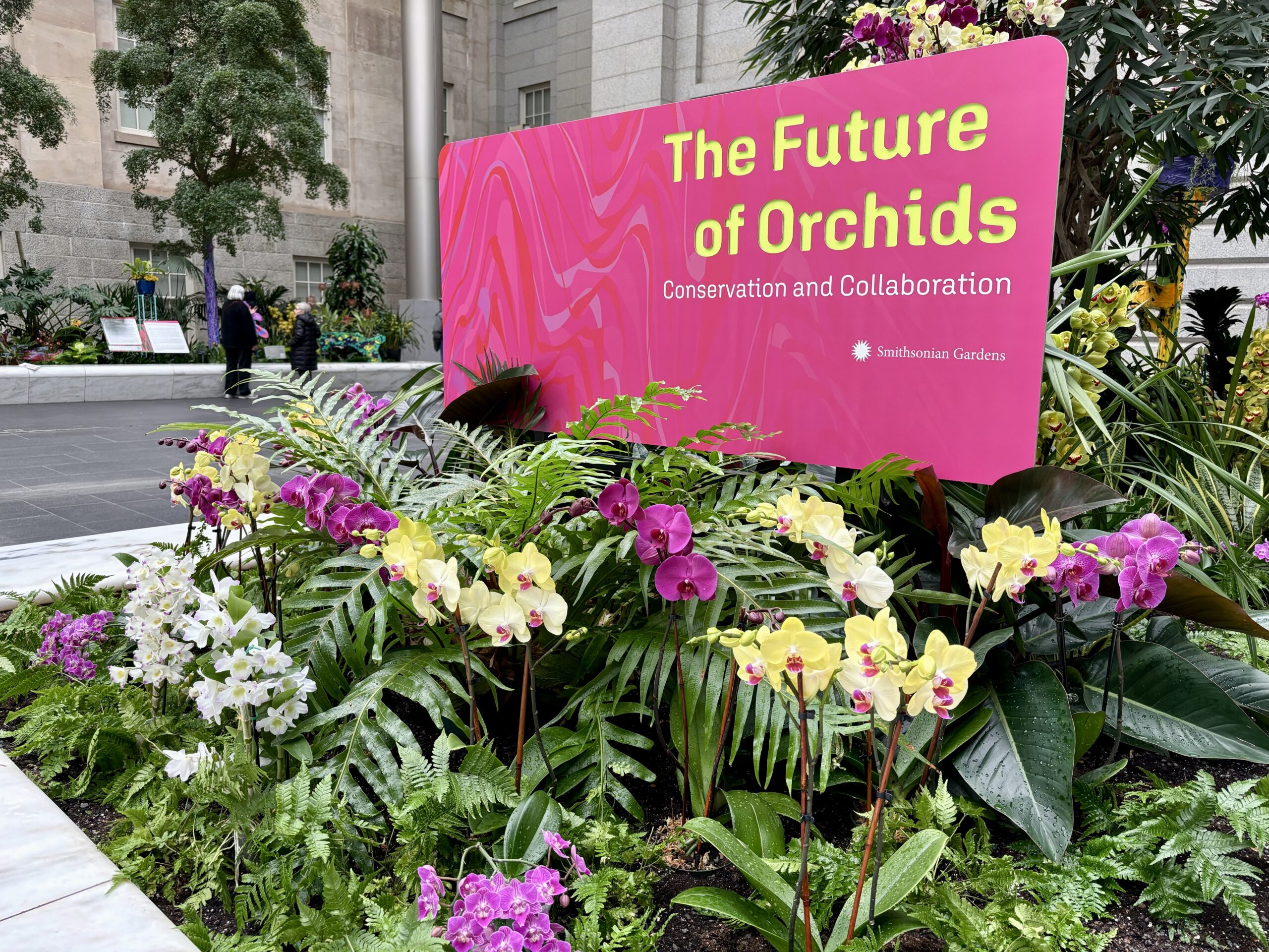 The collaborative orchid exhibit from Smithsonian Gardens and the U.S. Botanic Garden in the Kogod Courtyard focuses on environmental factors and conservation. (Yesenia Montenegro/Capital News Service)