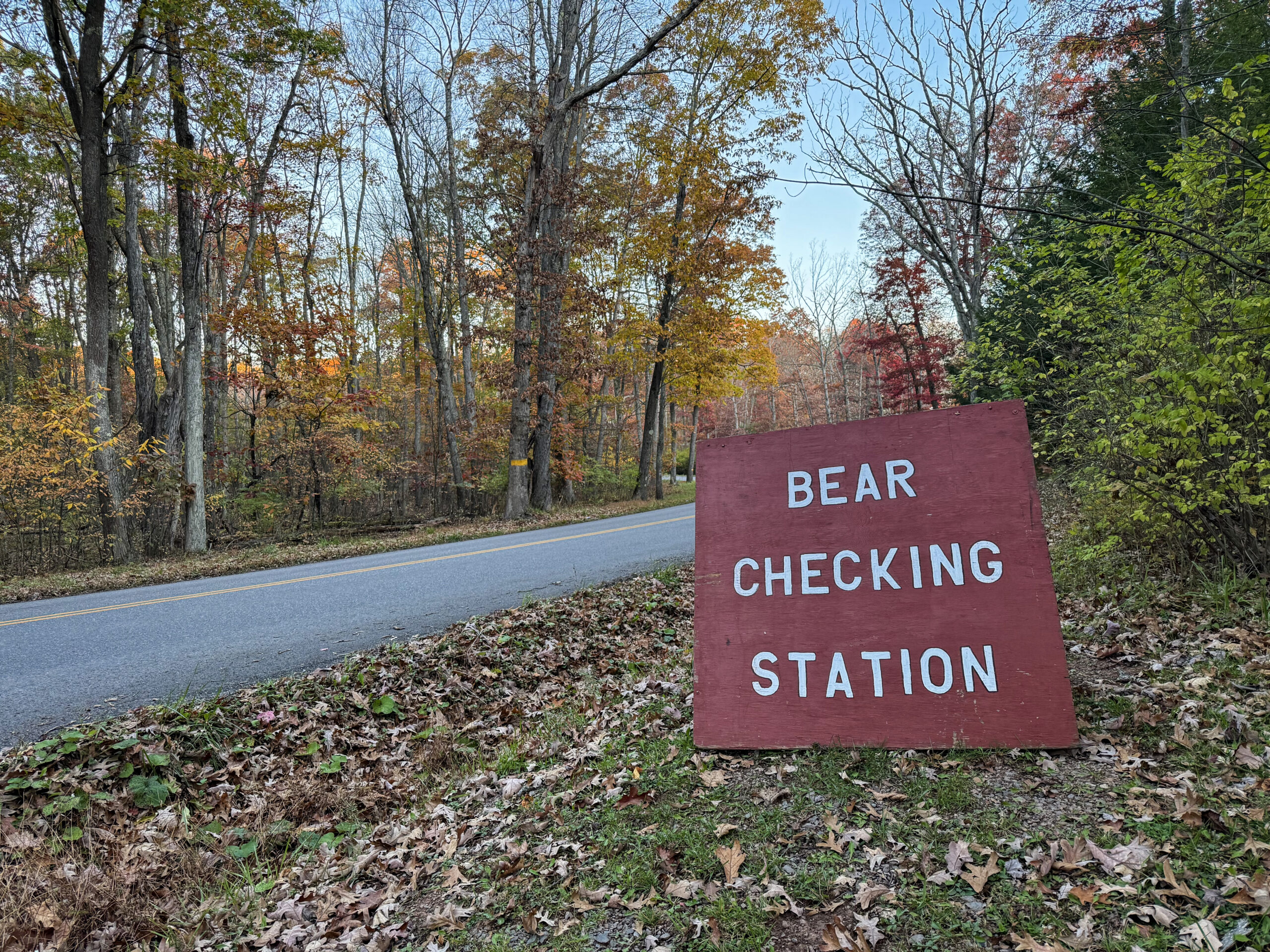 "Bear Checking Station" sign on the side of a road in the middle of fall.