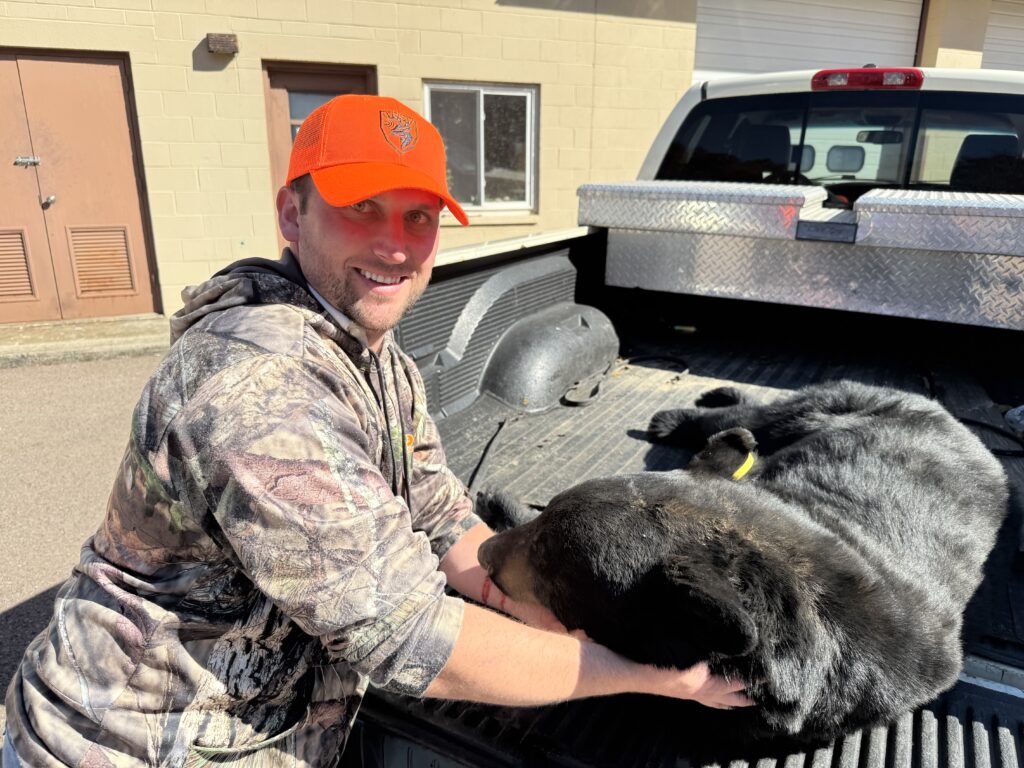 Man standing in front of a black bear in the bed of a pickup truck. 