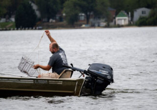 A man in a small motorboat lifts a crab pot from the Gunpowder River on an overcast day. The shoreline with Harford County homes are visible in the background.