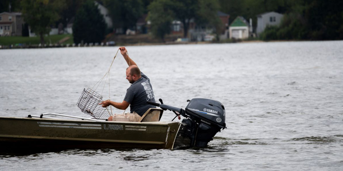 A man in a small motorboat lifts a crab pot from the Gunpowder River on an overcast day. The shoreline with Harford County homes are visible in the background.