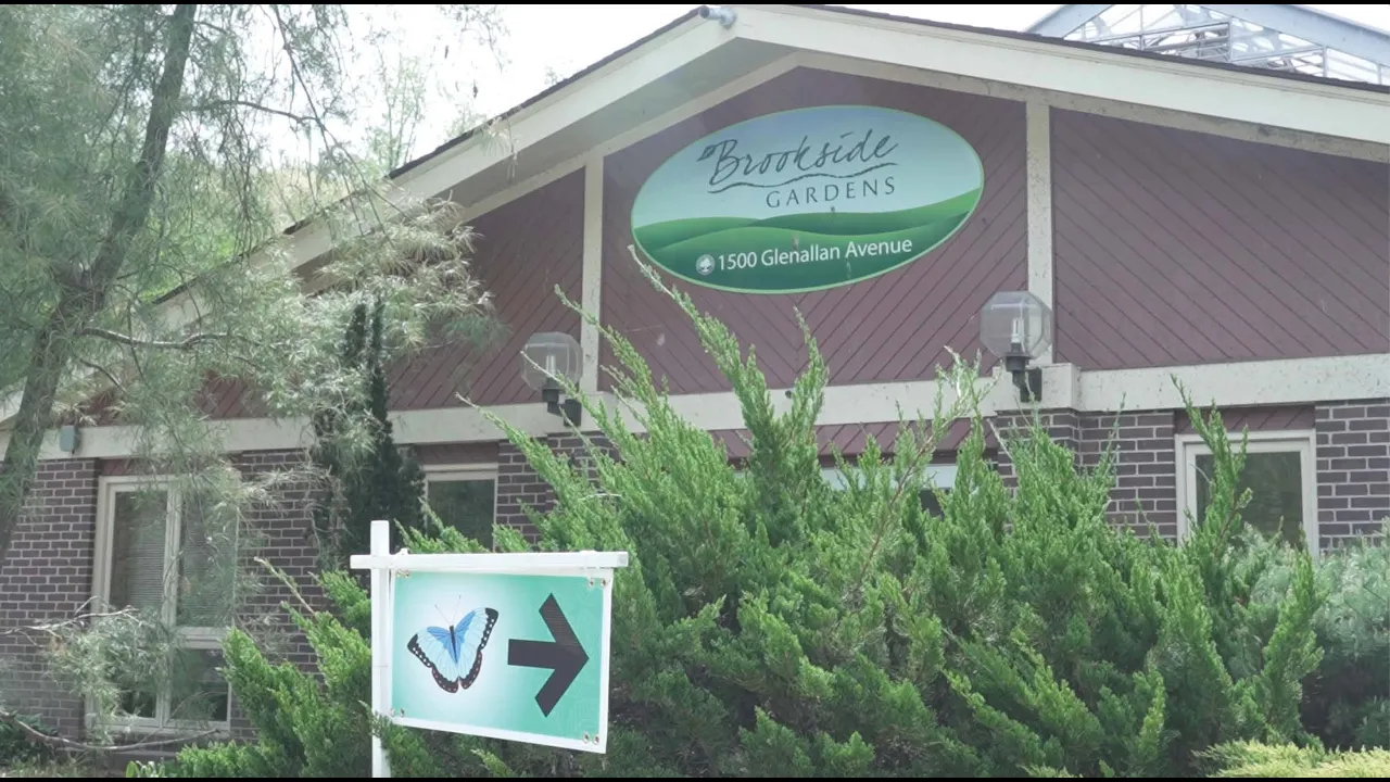 A look inside the new Butterfly Exhibit at Brookside Gardens in Wheaton