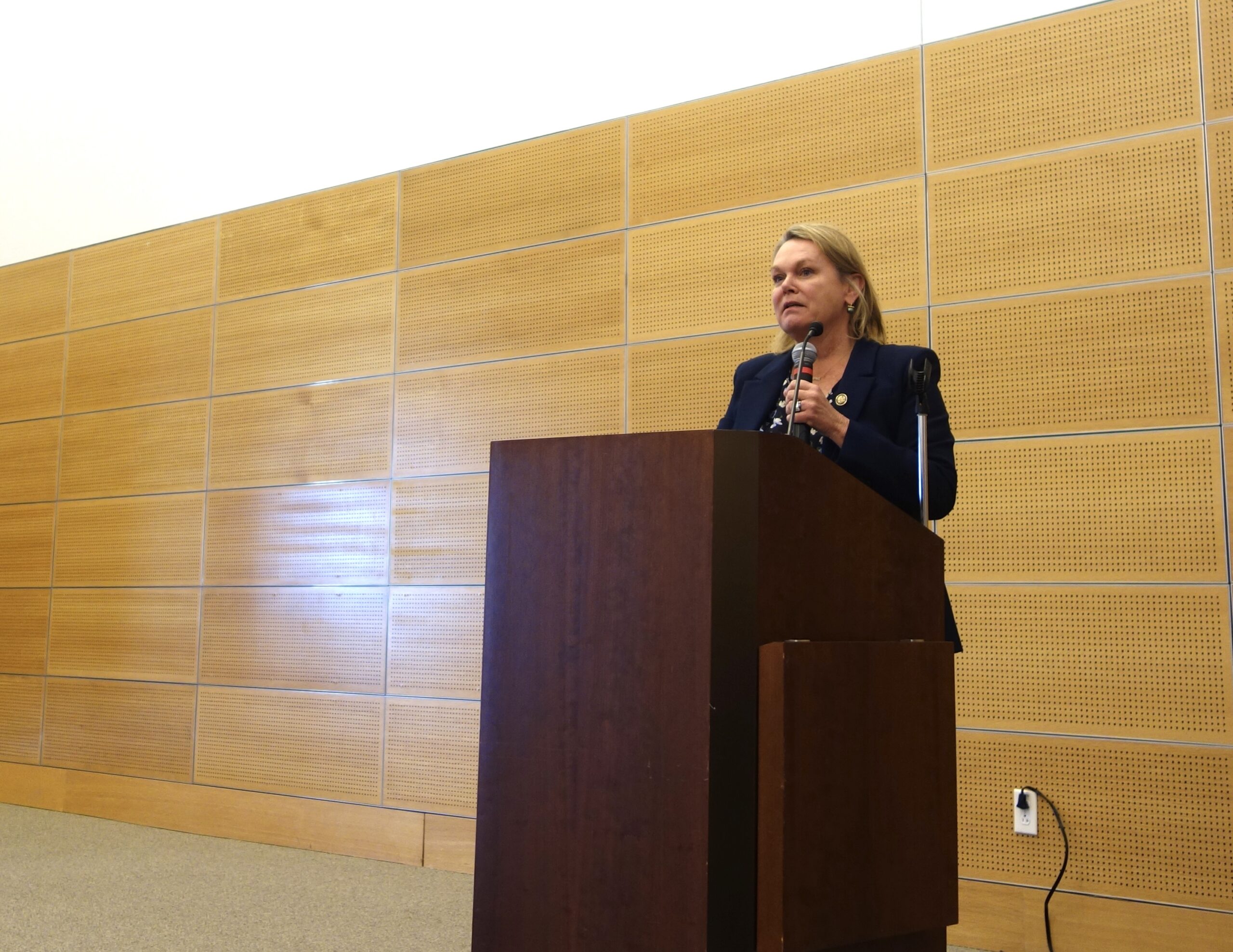 Rep. April McClain Delaney stands at a podium.